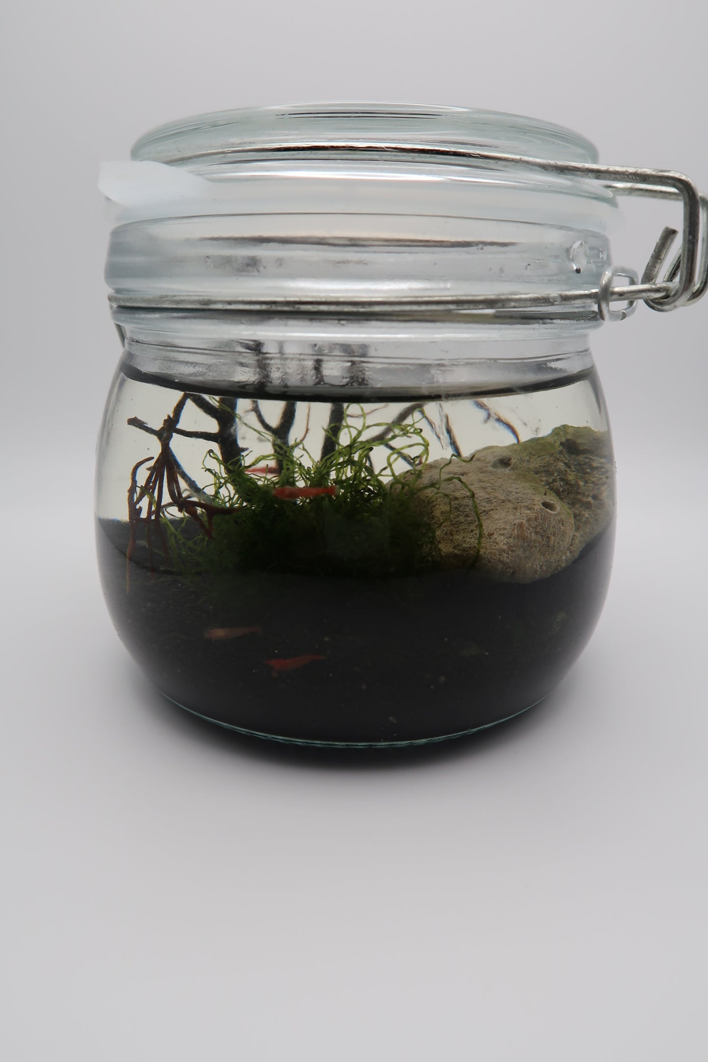 Self-sustainable ecosystem