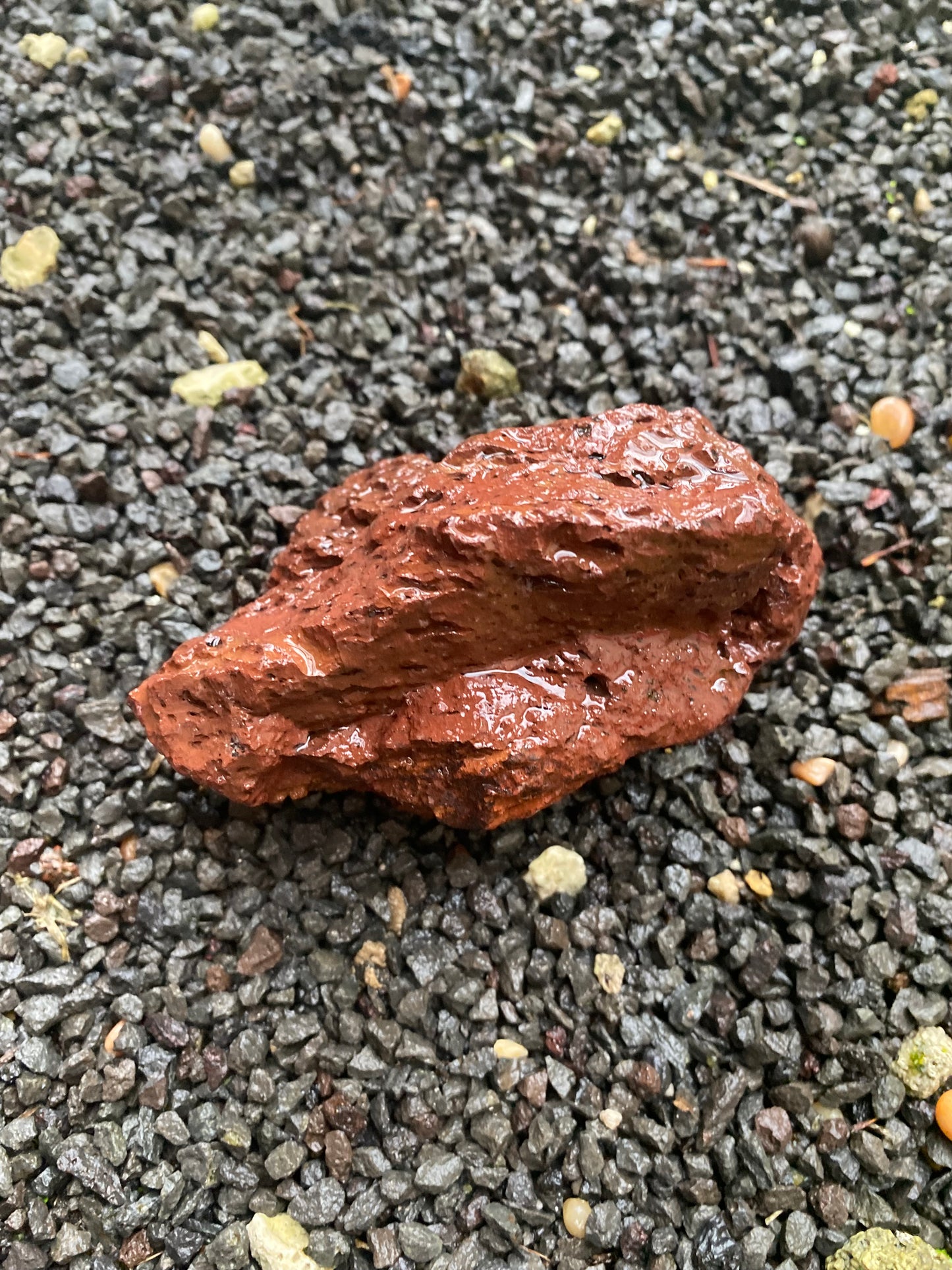 Natural Rare Coral Fossil, Beach Pebble Or Lava Rocks With Or Without Live Algae For Aquarium Decoration