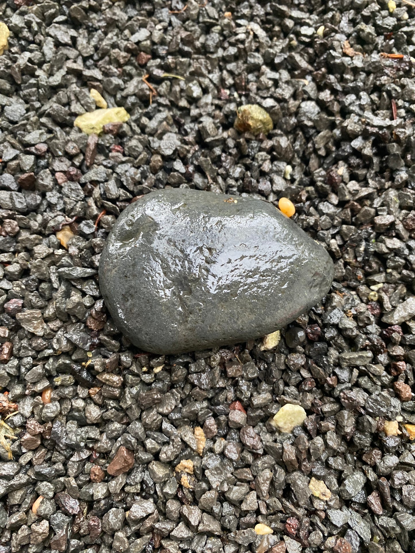 Natural Rare Coral Fossil, Beach Pebble Or Lava Rocks With Or Without Live Algae For Aquarium Decoration