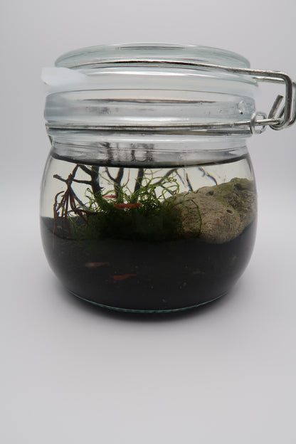 Self-sustainable ecosystem