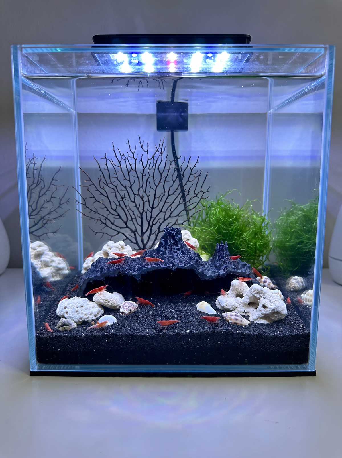 3D Printed Volcanic Lava Cave – Natural Opae Ula Shrimp Habitat