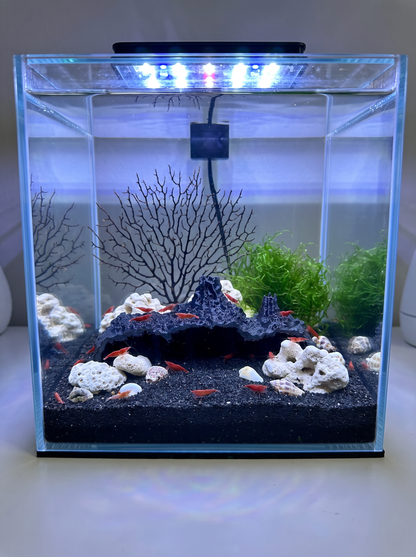 3D Printed Volcanic Lava Cave – Natural Opae Ula Shrimp Habitat